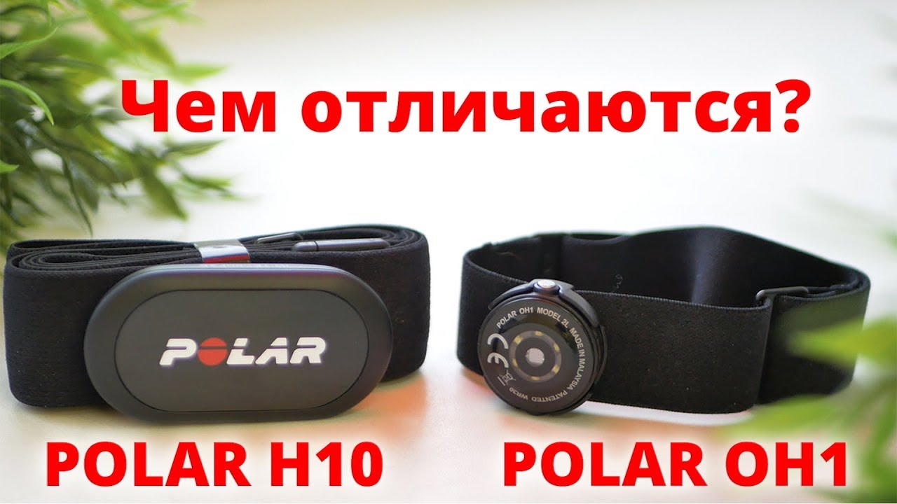 Чем отличаются пульсометры Polar H10 от Polar OH1?