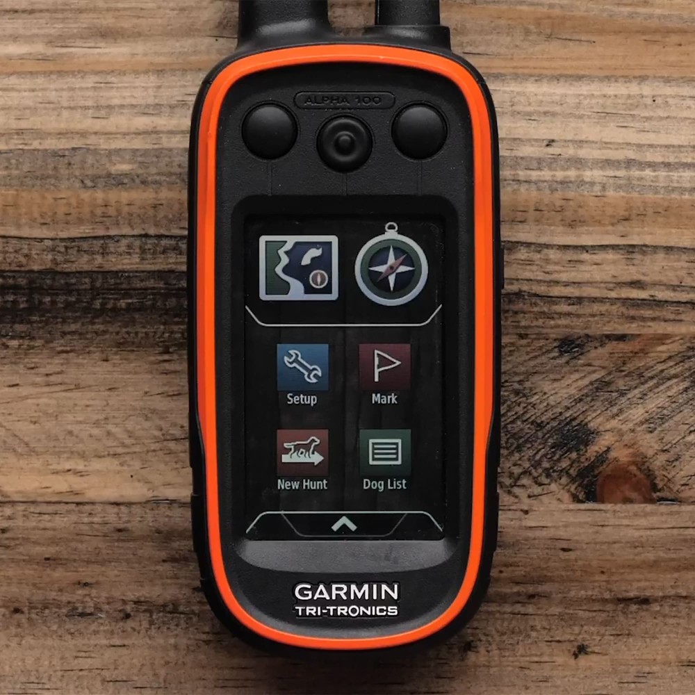 Garmin Alpha 100 с ошейником T 5X — купить GPS-навигатор для собак 🐕‍🦺 по  выгодной цене в магазине Спорт Лайф