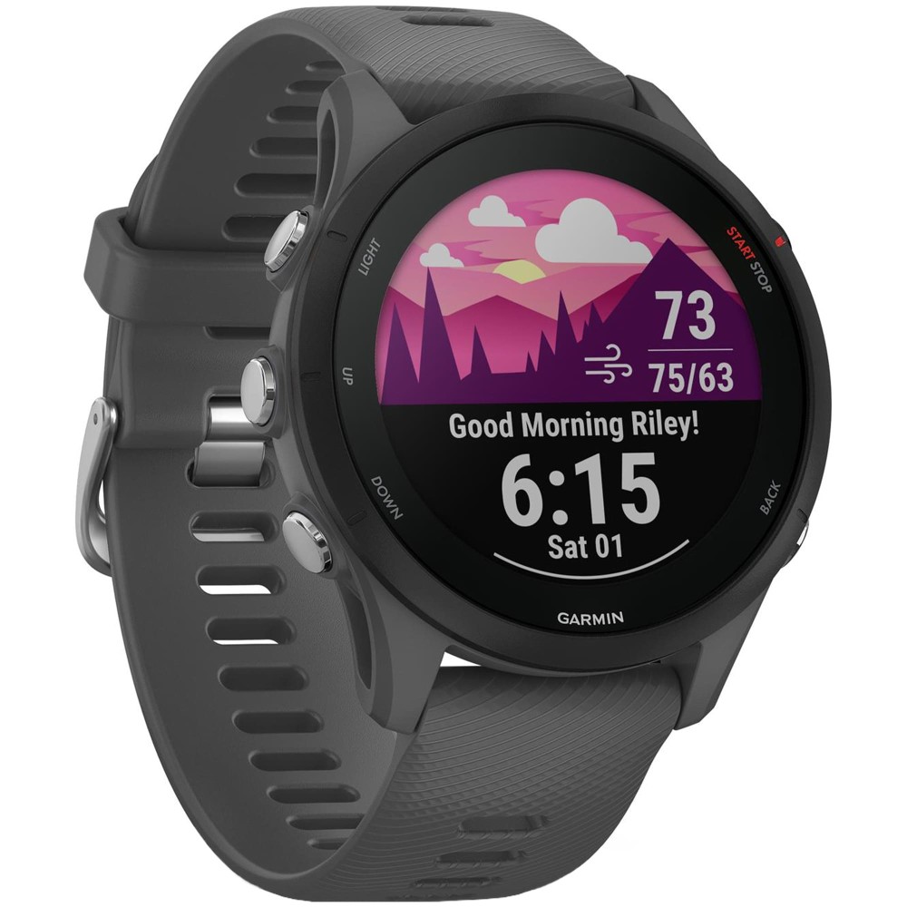 Garmin Forerunner 255 Slate Grey — купить умные часы ⌚ для бега по выгодной  цене в магазине Спорт Лайф