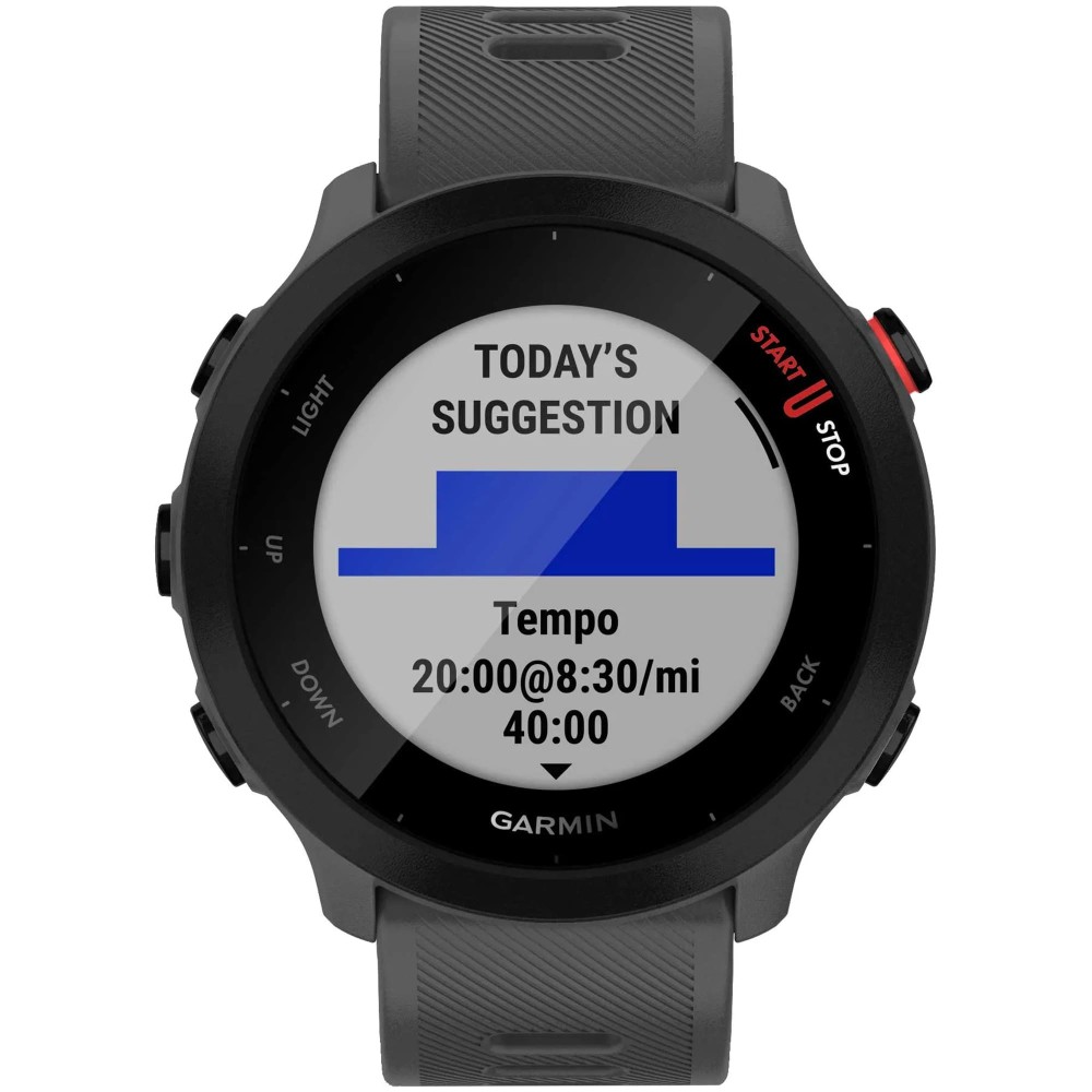 Garmin Forerunner 55 Monterra Gray — купить смарт-часы ⌚ для бега по  выгодной цене в магазине Спорт Лайф