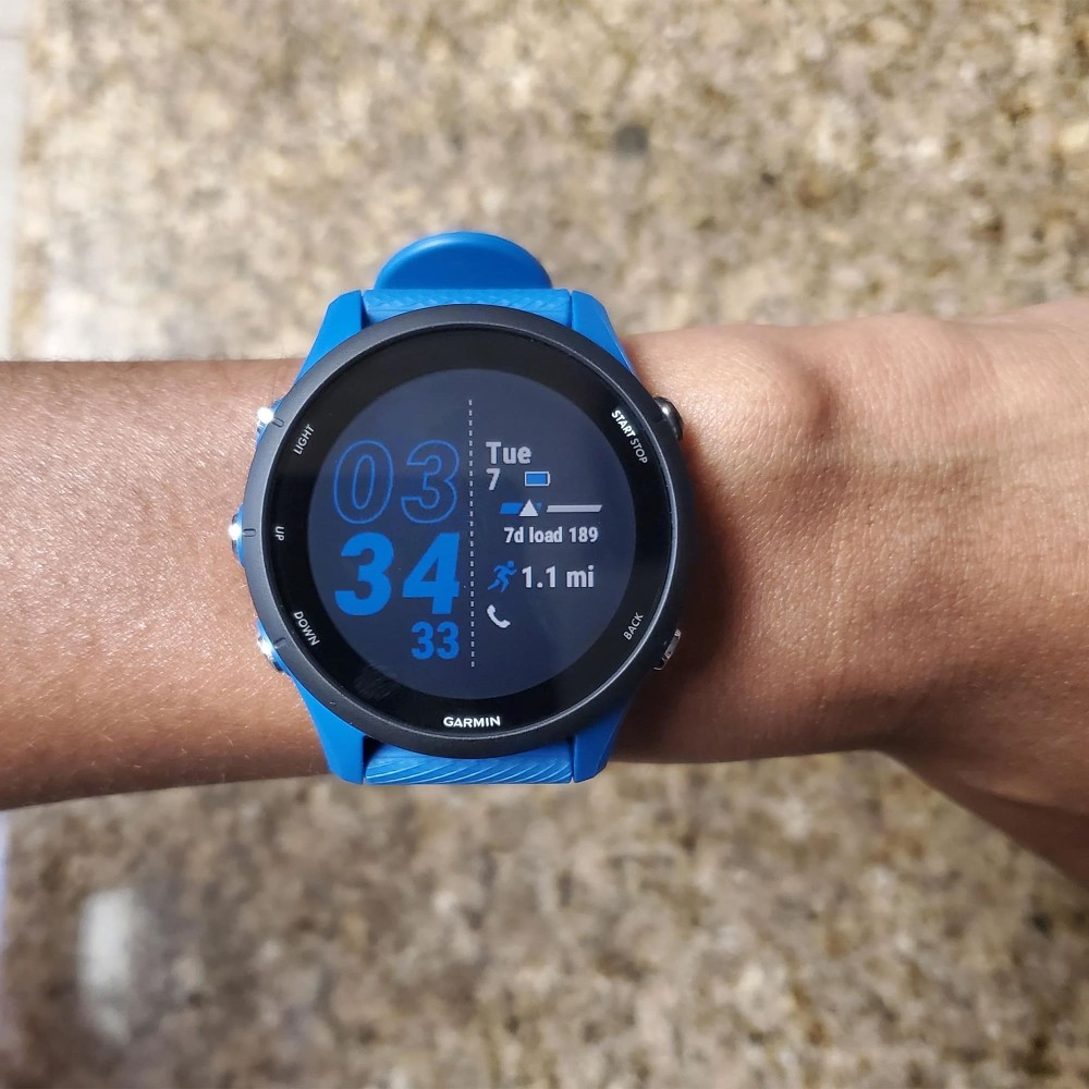 Garmin Forerunner 255 Tidal Blue — купить умные часы ⌚ для бега по выгодной  цене в магазине Спорт Лайф