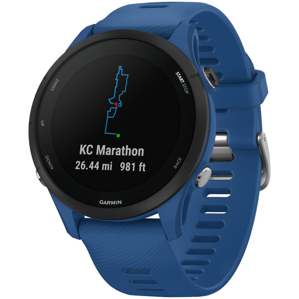 Garmin Forerunner 255 Tidal Blue — купить умные часы ⌚ для бега по выгодной  цене в магазине Спорт Лайф