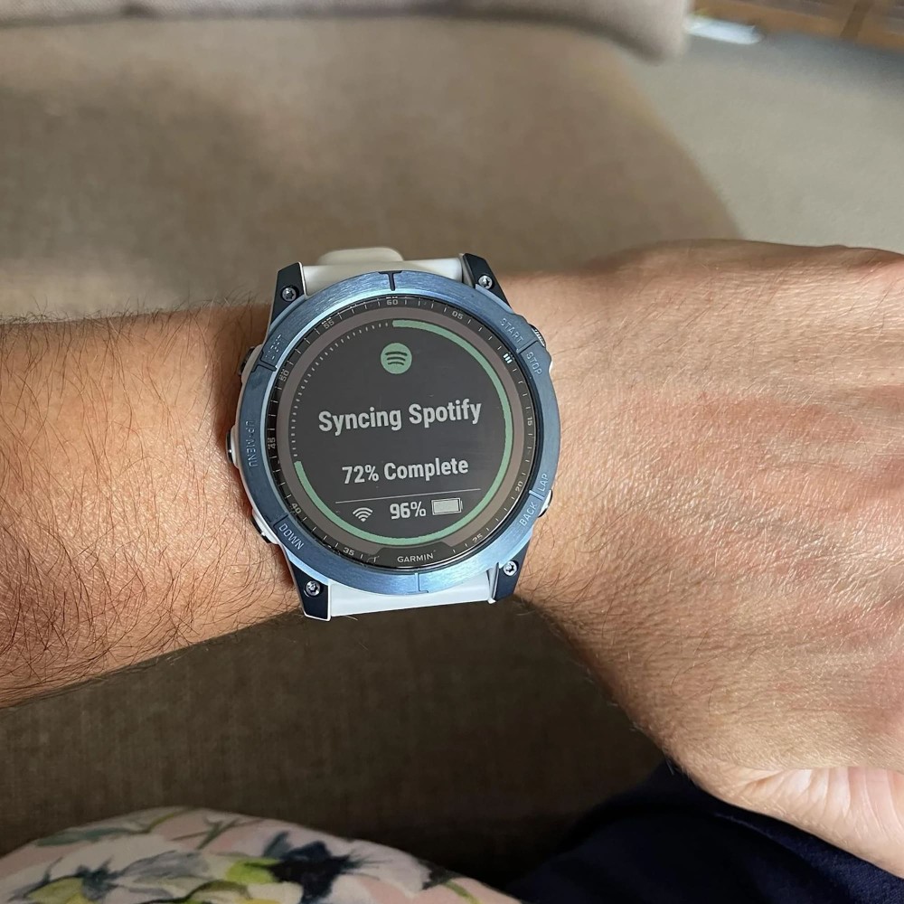 Garmin fenix blue on sale