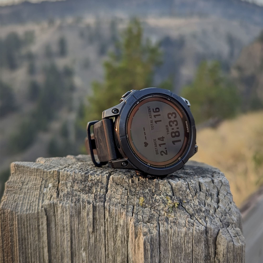 Garmin fenix new model sale