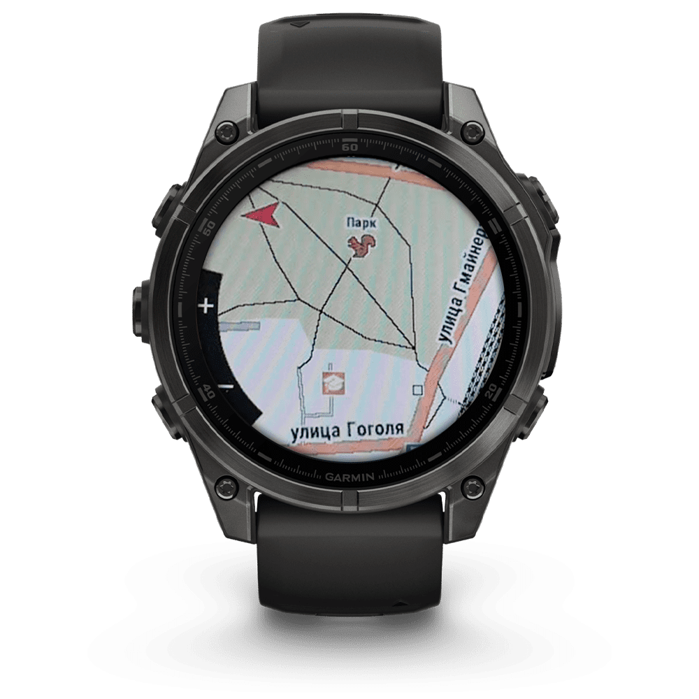 Garmin fenix 5 topo online