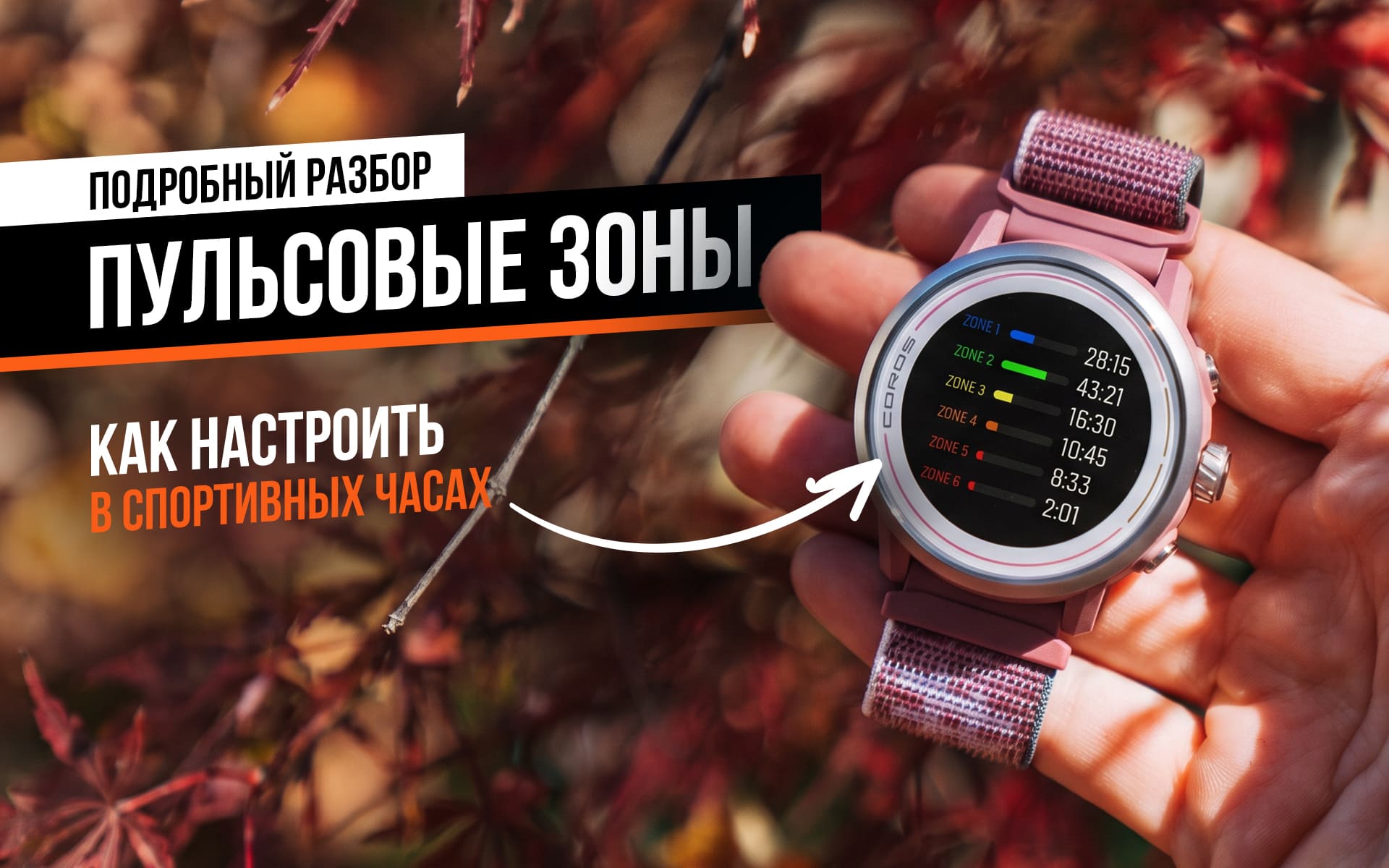 Пульсовые зоны: на каком пульсе бегать