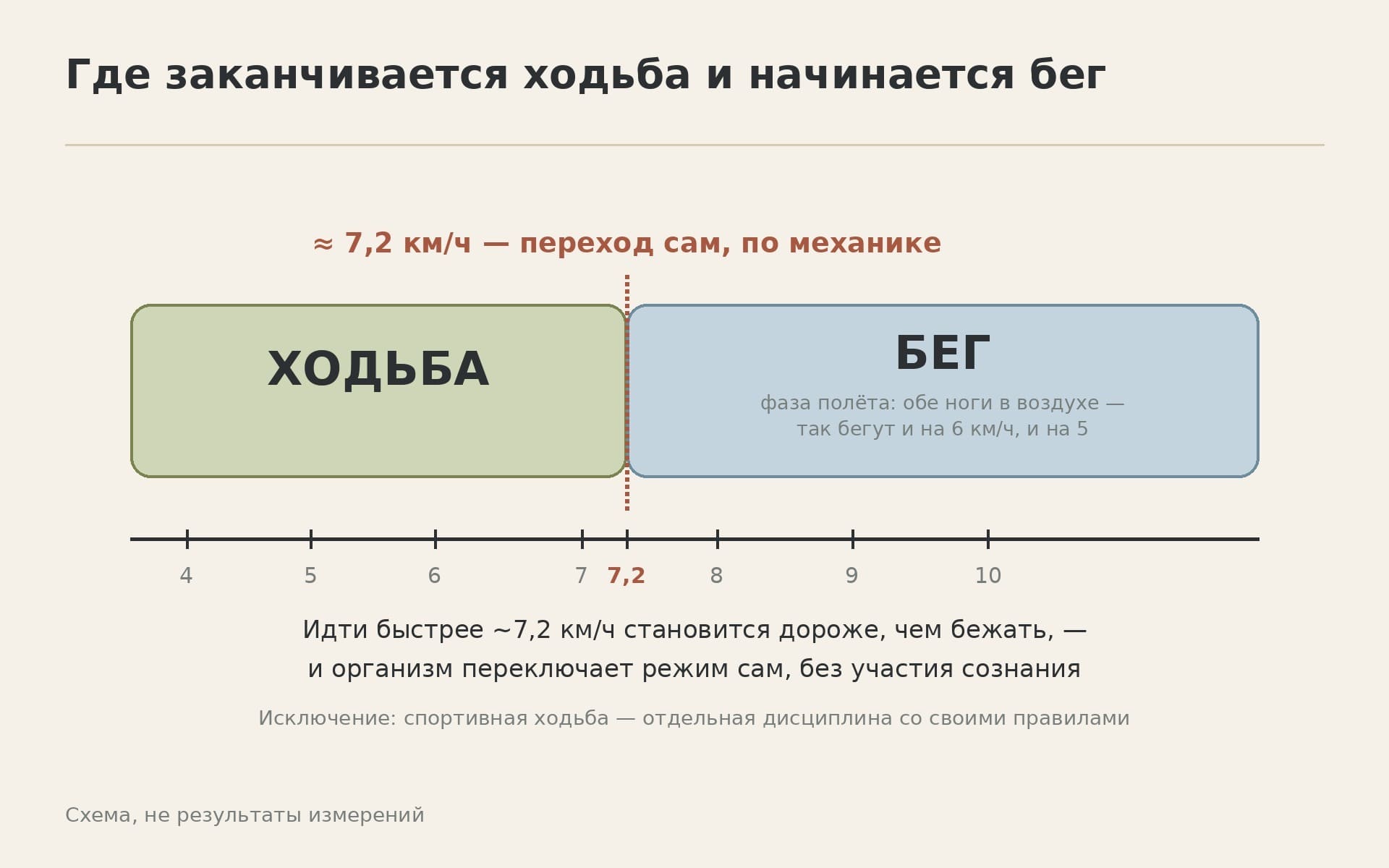Граница перехода от ходьбы к бегу около семи километров в час