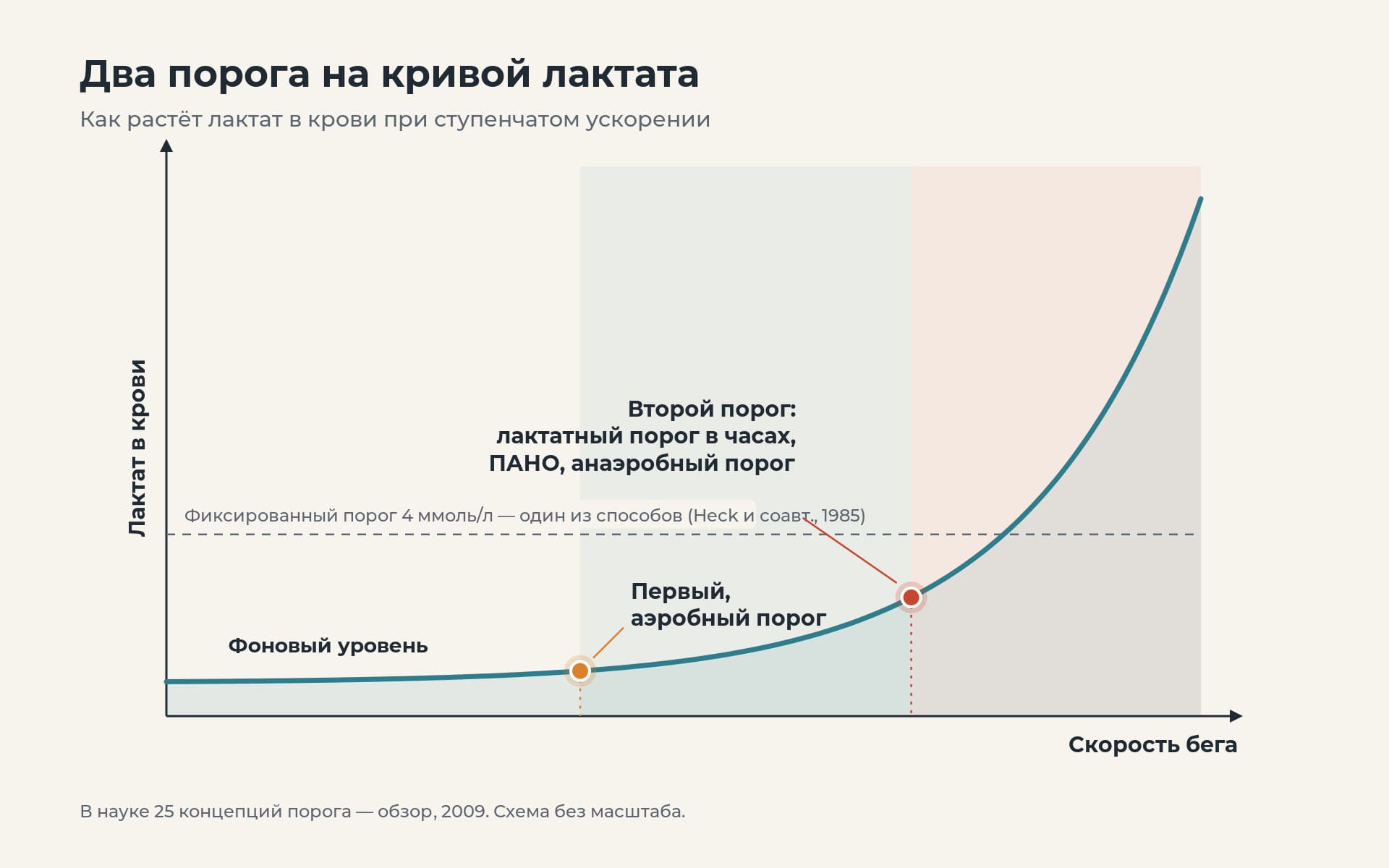 Схема двух порогов на кривой лактата