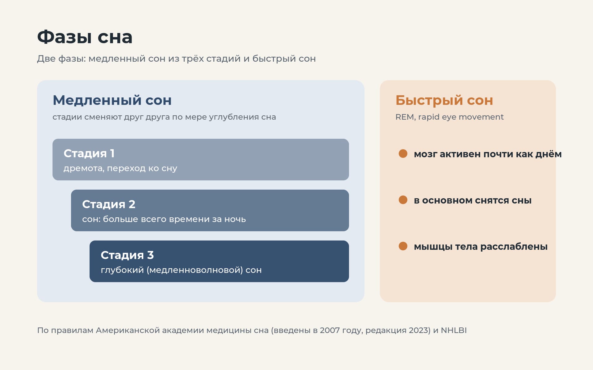 Схема фаз сна: медленный сон из трех стадий и быстрый сон