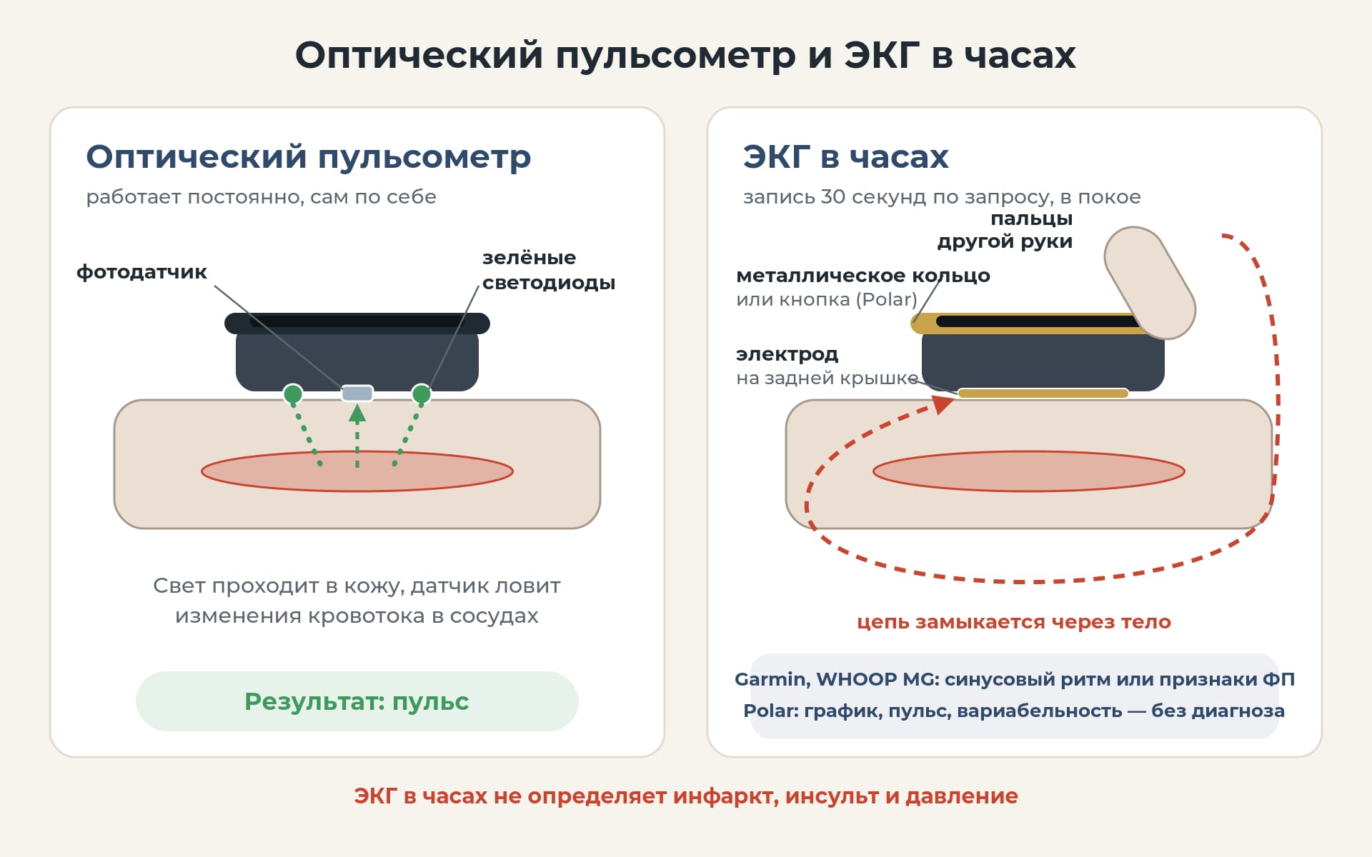 Схема: оптический пульсометр и ЭКГ в часах